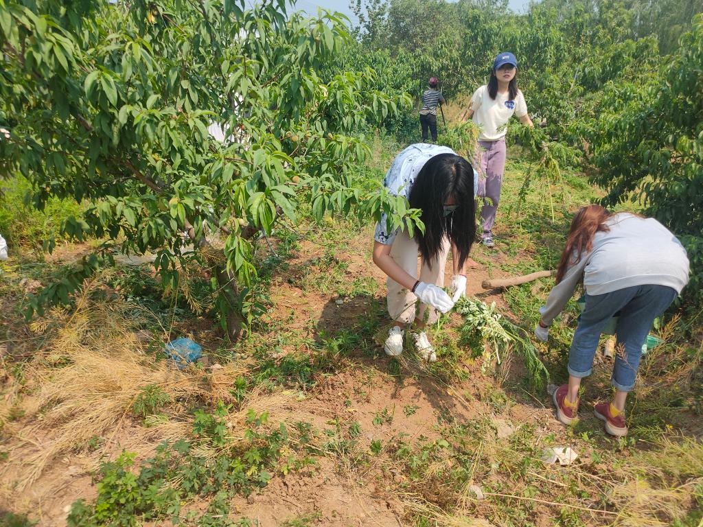 资料大全正版资料免费,技术支持解析落实_财务集28.586