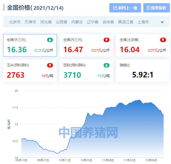 今日生猪价格分析与趋势预测